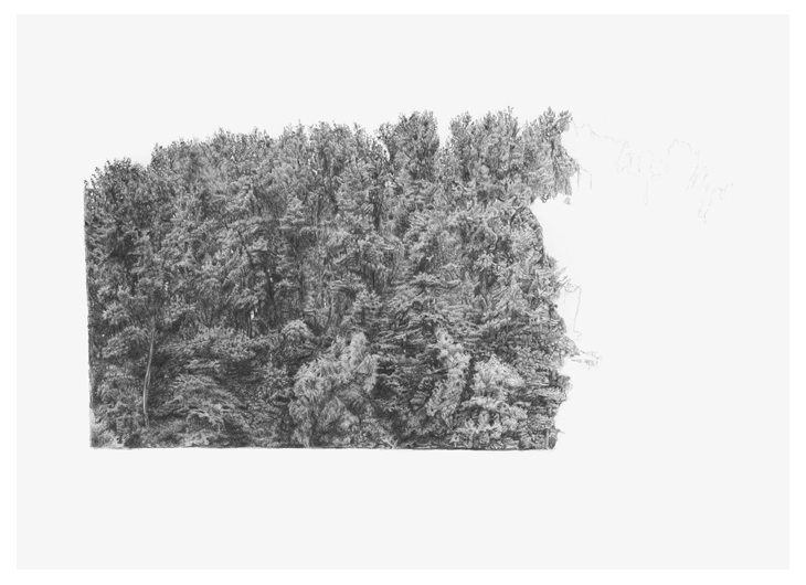 Wald am See, Bleistift auf Papier, 42 x 29.7 cm, 2011
