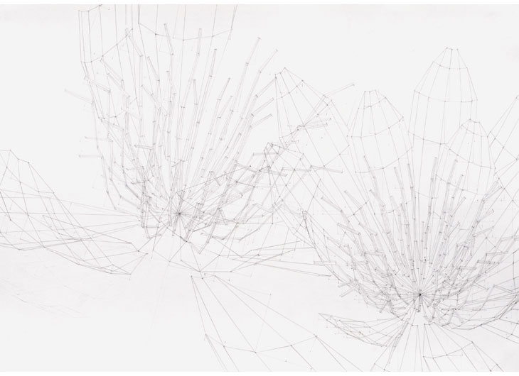 »Seerose«, Bleistift auf Papier, 42 x 60 cm, 2011