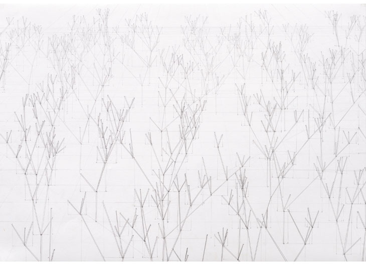 »Hahnenfuß«, Bleistift auf Papier, 42 x 60 cm, 2011